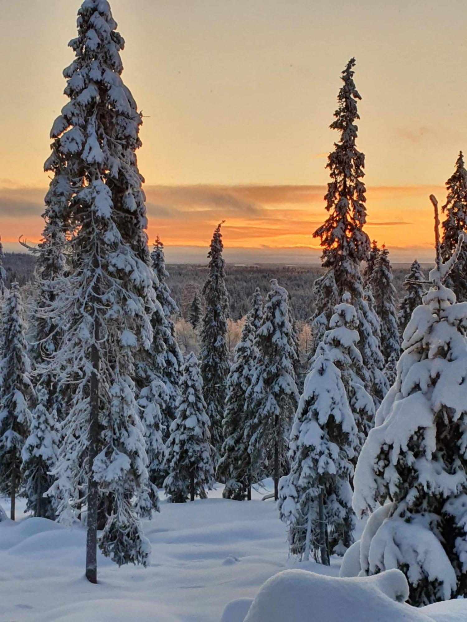 Hietavilla Borealis Ruka Esterno foto