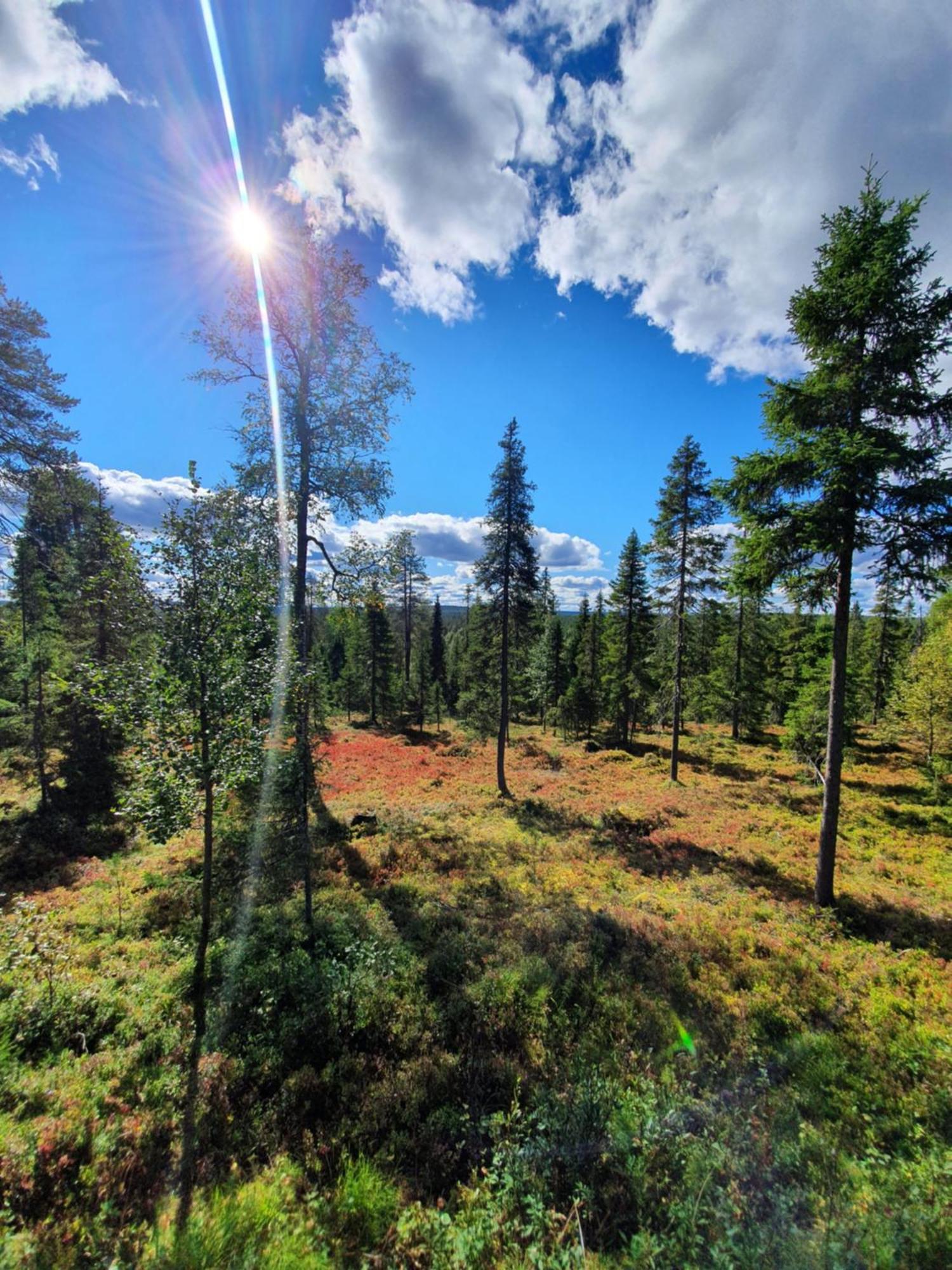 Hietavilla Borealis Ruka Esterno foto